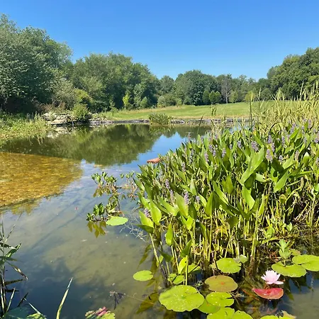 Bed & Breakfast Chezlemoulin *