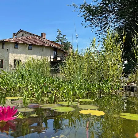 Bed & Breakfast Chezlemoulin *