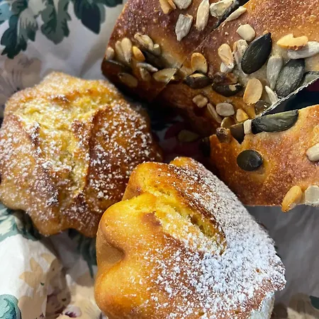فندق مبيت وإفطار Chezlemoulin Samouillan