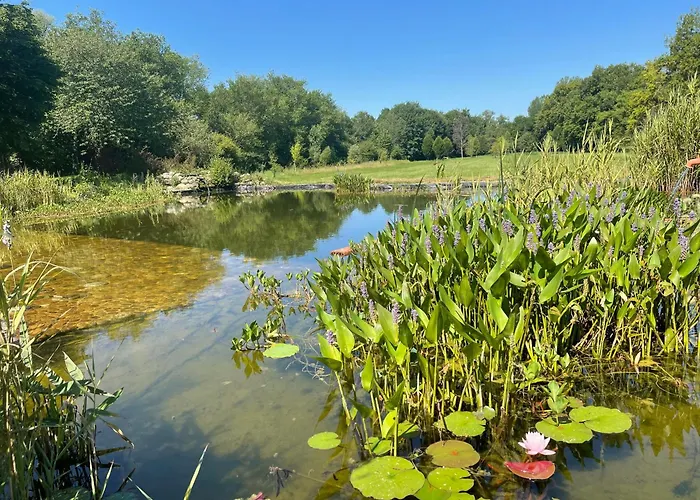 Bed & Breakfast Chezlemoulin *
