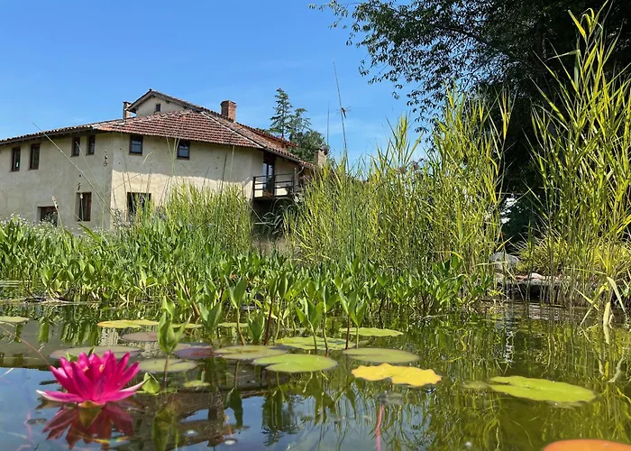 Bed & Breakfast Chezlemoulin *