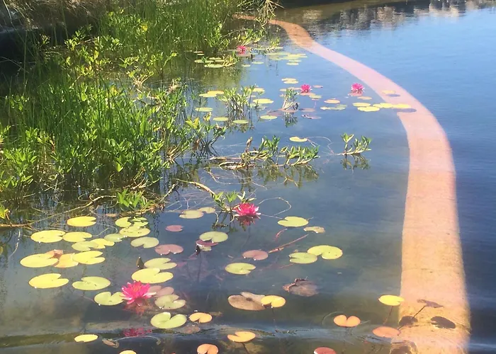 Bed & Breakfast Chezlemoulin Samouillan