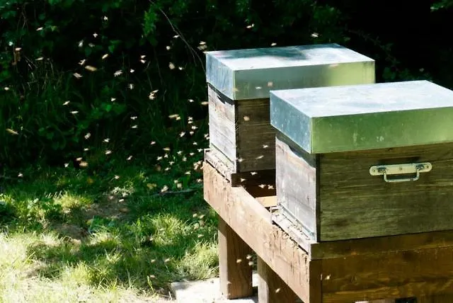 Chezlemoulin Bed & Breakfast