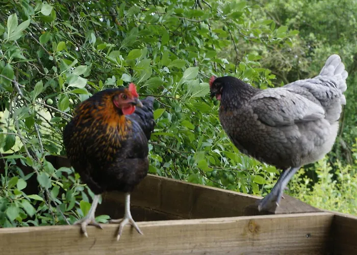 Chezlemoulin * Samouillan