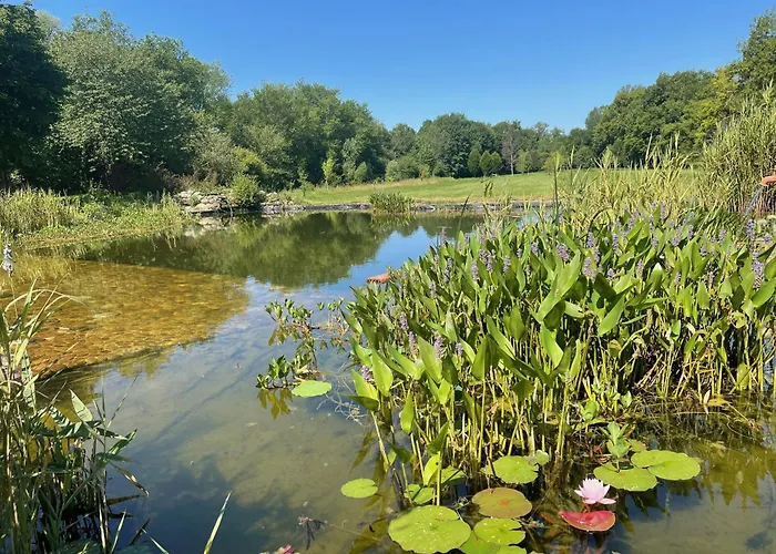 Chezlemoulin Bed & Breakfast Samouillan