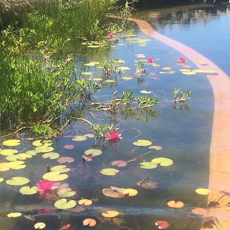 Frühstückspension Chezlemoulin Samouillan