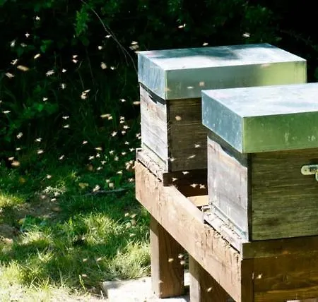 Chezlemoulin Frühstückspension