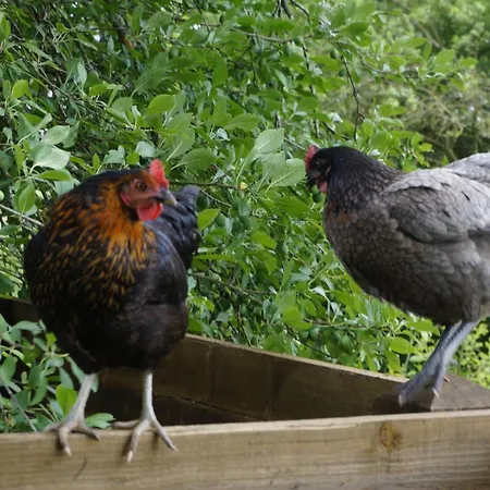 Chezlemoulin * Samouillan